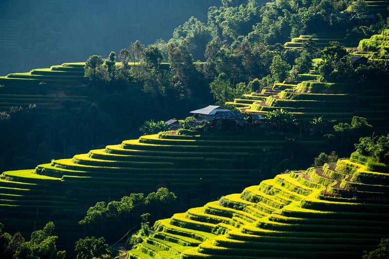 Neutral Color Palette